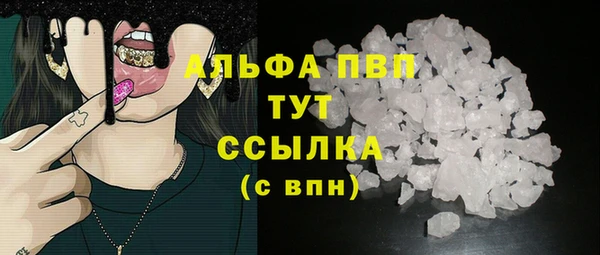 гашик Магас
