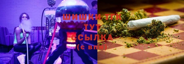 ECSTASY Магадан